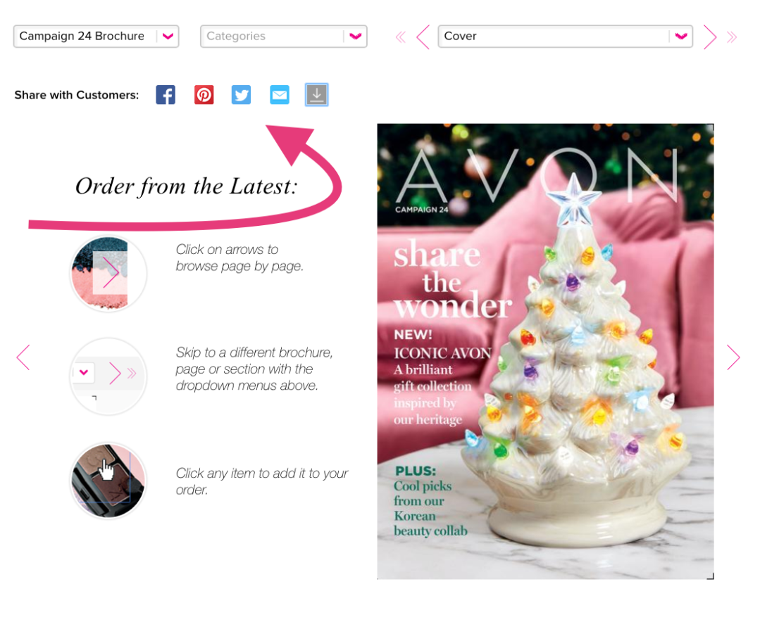 Screen Shot 2019-10-31 at 10.37.01 AM.png